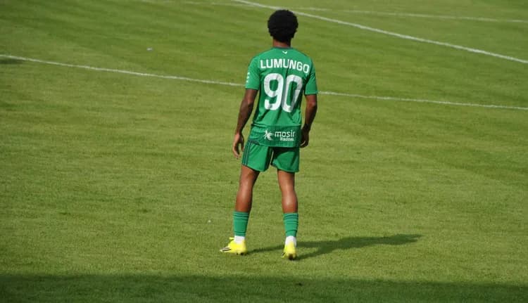Radomiak – Piast: Typy, Kursy 14.09.2026. 