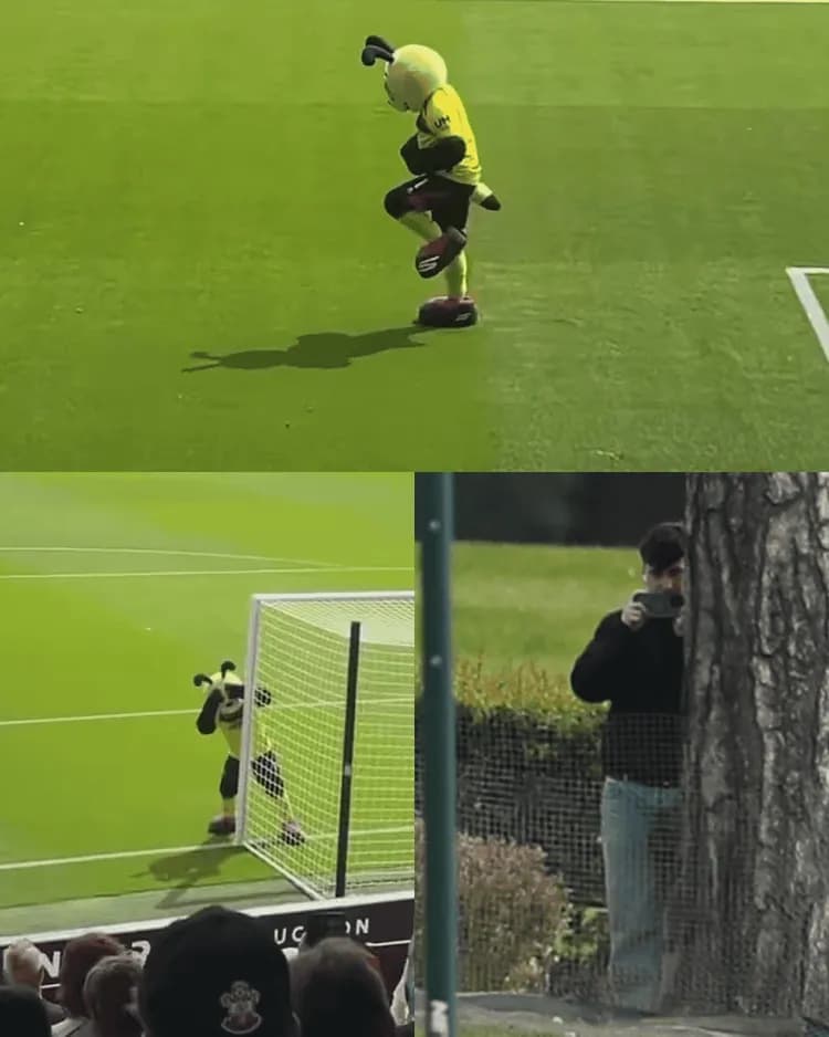 Maskotka Watford zadrwiła z kibiców Southampton!