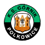 KS Gornik Polkowice