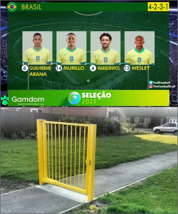 Brazylijska defensywa w meczu z Argentyną XD