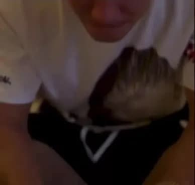 Reakcja Guardioli, Grealisha i Zlatana na nową fryzurę Haalanda😂
